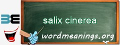 WordMeaning blackboard for salix cinerea